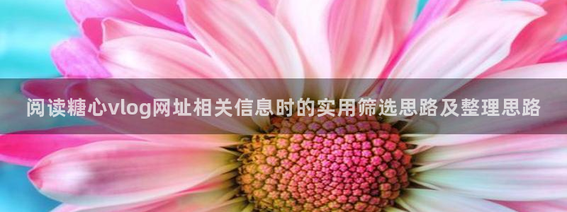 糖心少女logo：阅读糖心vlog网址相关信息时的实用筛选思路及整理思路