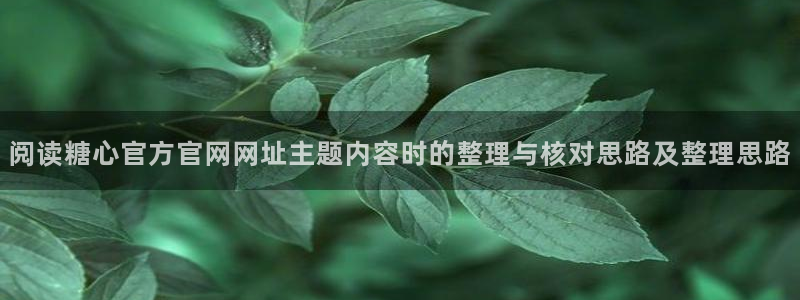 心糖logo官网